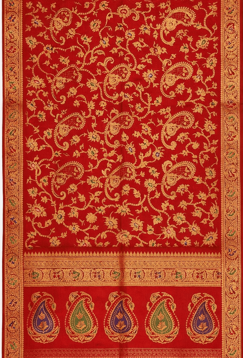 Saree Transformation 3 input